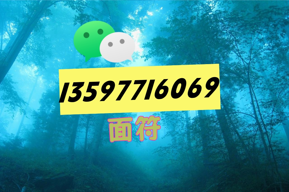 20250521202901300-135977